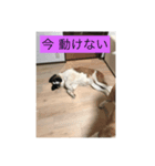 太郎 鼻（個別スタンプ：6）