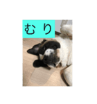 太郎 鼻（個別スタンプ：7）