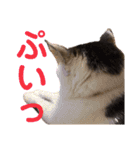 田島家の色々いろいろ（個別スタンプ：11）