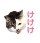 田島家の色々いろいろ（個別スタンプ：14）
