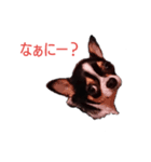二郎（個別スタンプ：1）