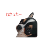 二郎（個別スタンプ：7）