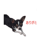 二郎（個別スタンプ：8）