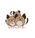 デグーボールスタンプ（個別スタンプ：1）