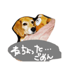 山口弁のきゃりーちゃん（個別スタンプ：6）