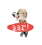 山口弁のきゃりーちゃん（個別スタンプ：15）