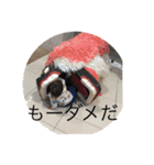 和海スタンプ（個別スタンプ：10）
