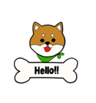 柴犬モカ（個別スタンプ：1）