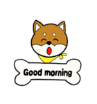 柴犬モカ（個別スタンプ：2）