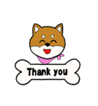 柴犬モカ（個別スタンプ：3）