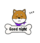柴犬モカ（個別スタンプ：8）