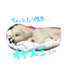 くくたん（個別スタンプ：2）