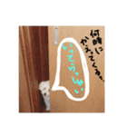 くくたん（個別スタンプ：4）
