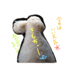 くくたん（個別スタンプ：9）