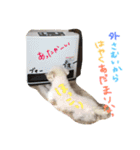 くくたん（個別スタンプ：11）