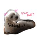 くくたん（個別スタンプ：12）