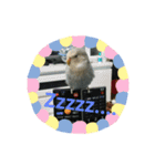 コザクラインコのそら＆ぴーすけ（個別スタンプ：5）