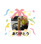 コザクラインコのそら＆ぴーすけ（個別スタンプ：6）