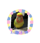 コザクラインコのそら＆ぴーすけ（個別スタンプ：23）
