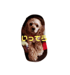 うちのめんこちゃんズ！（個別スタンプ：4）