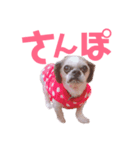 蒼生の日記vol.6（個別スタンプ：5）