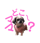 蒼生の日記vol.6（個別スタンプ：7）