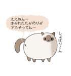 おならで喋るねこ（たかのり）（個別スタンプ：21）