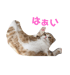 ずーすー（個別スタンプ：5）