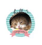 ずーすー（個別スタンプ：6）