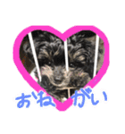 コタロー。（個別スタンプ：5）
