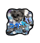 コタロー。（個別スタンプ：7）