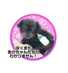 コタロー。（個別スタンプ：8）