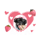 コタロー。（個別スタンプ：14）