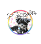 コタロー。（個別スタンプ：15）