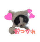 モフモフの仲間たち2（個別スタンプ：11）