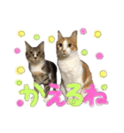 モフモフの仲間たち2（個別スタンプ：24）