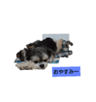 ラブリーココ❤（個別スタンプ：1）