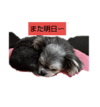 ラブリーココ❤（個別スタンプ：7）