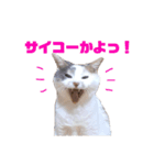 ユキさん スタンプ(其の二)（個別スタンプ：1）