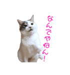 ユキさん スタンプ(其の二)（個別スタンプ：2）