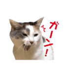 ユキさん スタンプ(其の二)（個別スタンプ：5）