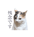 ユキさん スタンプ(其の二)（個別スタンプ：12）