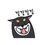 若々しい犬 Theo（個別スタンプ：3）