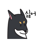 若々しい犬 Theo（個別スタンプ：5）
