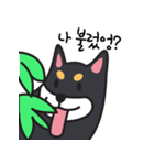 若々しい犬 Theo（個別スタンプ：8）