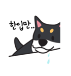 若々しい犬 Theo（個別スタンプ：11）