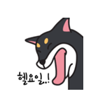 若々しい犬 Theo（個別スタンプ：13）