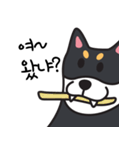 若々しい犬 Theo（個別スタンプ：14）