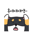 若々しい犬 Theo（個別スタンプ：16）