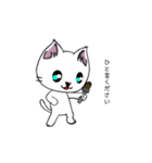 勇者を目指す猫と仲間たち。魔法使い（個別スタンプ：27）